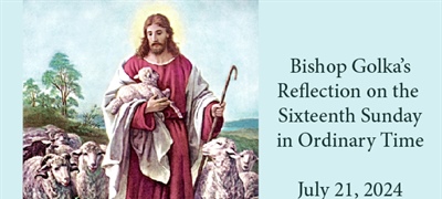 Bishop Golka's Reflection on the Sixteenth Sunday in Ordinary Time