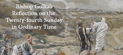 Bishop Golka's Reflection on the Twenty-Fourth Sunday in Ordinary Time