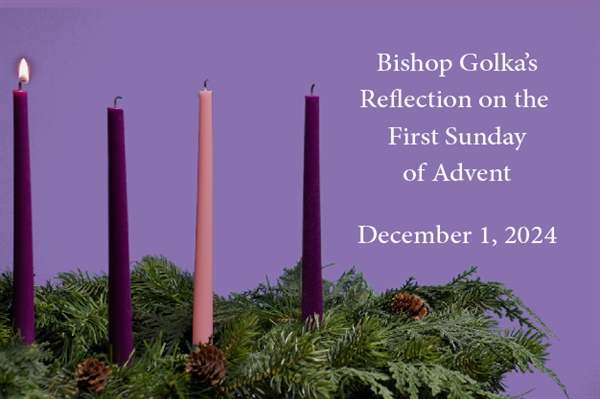 Bishop Golka's Reflection on the First Sunday of Advent