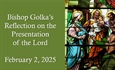 Bishop Golka's Reflection on the Presentation of the Lord