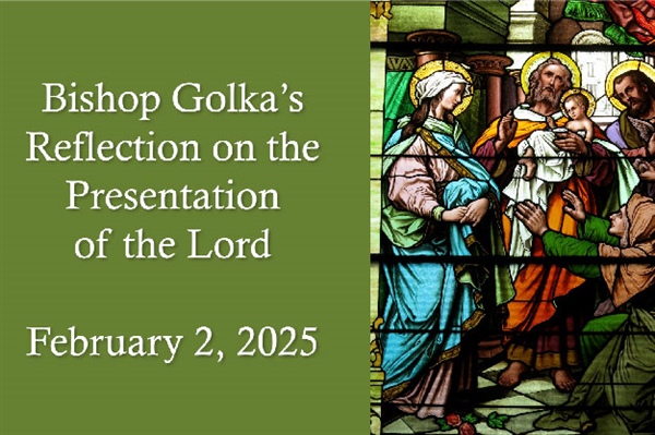 Bishop Golka's Reflection on the Presentation of the Lord