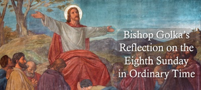 Bishop Golka's Reflection on the Eighth Sunday in Ordinary Time