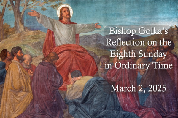 Bishop Golka's Reflection on the Eighth Sunday in Ordinary Time