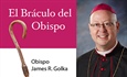 EL BÁCULO DEL OBISPO: Cuaresma: Ponte la armadura de Dios