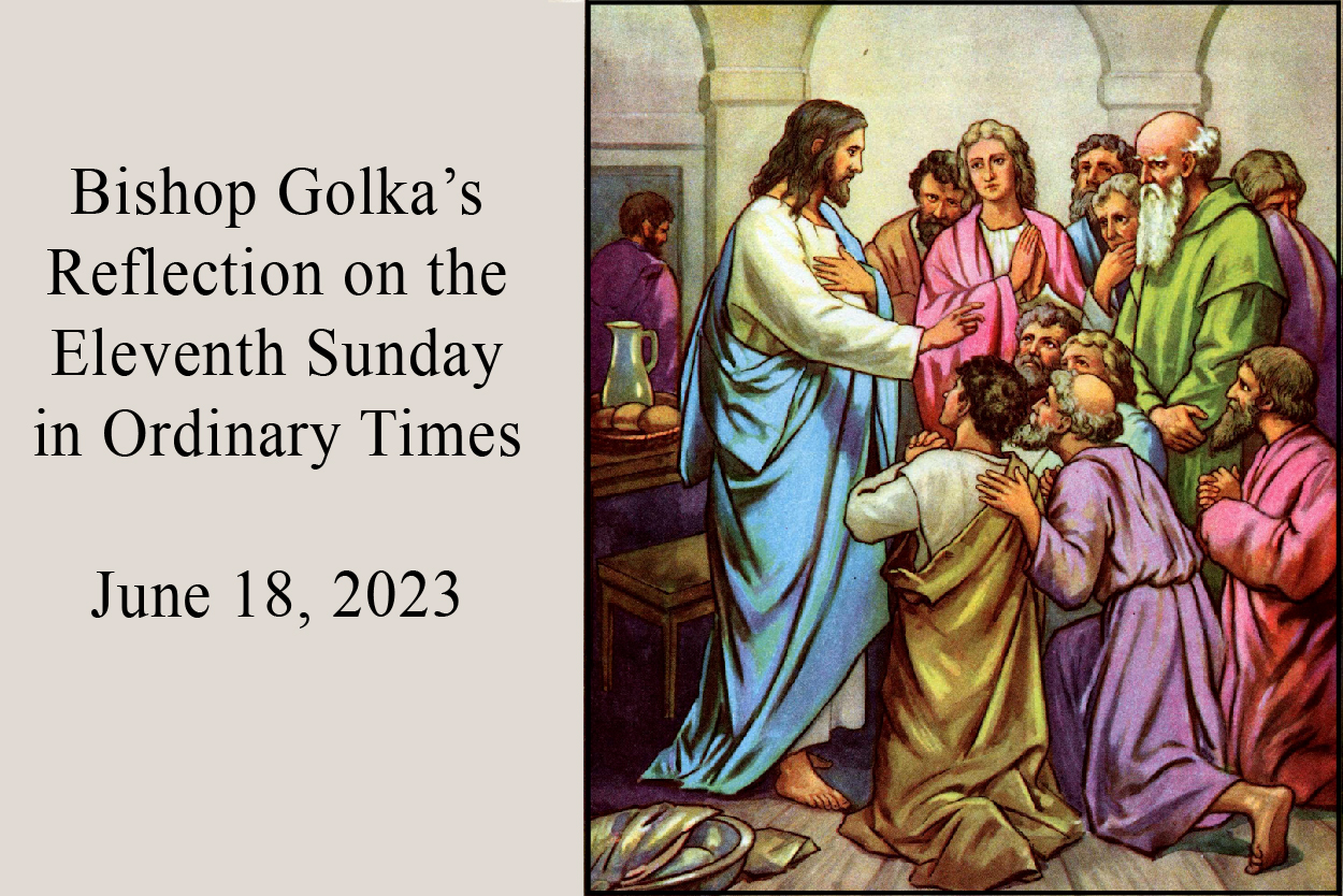 Golka's Reflection on the Eleventh Sunday in Ordinary Time